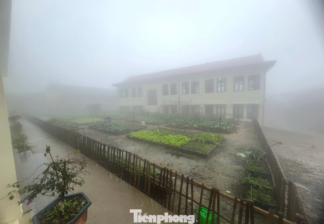 Giá rét và sương mù dày đặc khiến cuộc sống người dân trên địa bàn bị ảnh hưởng lớn. Phải đến gần trưa, sương mù mới bắt đầu tan và nhiệt độ tăng lên khoảng 1-2 độ C.