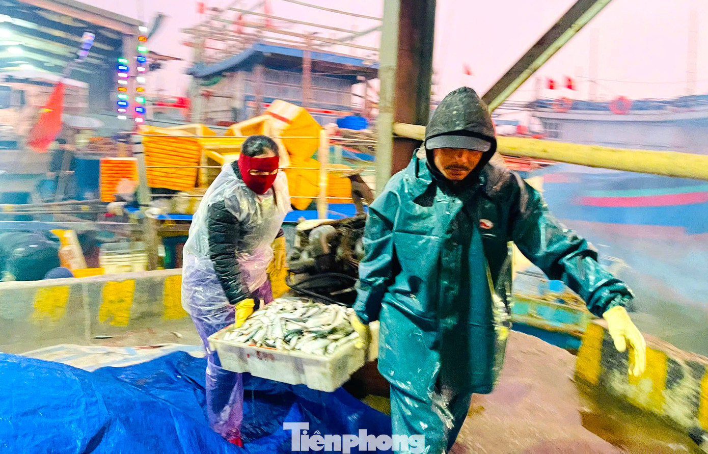 Cá liên tục được vận chuyển từ thuyền vào bến.