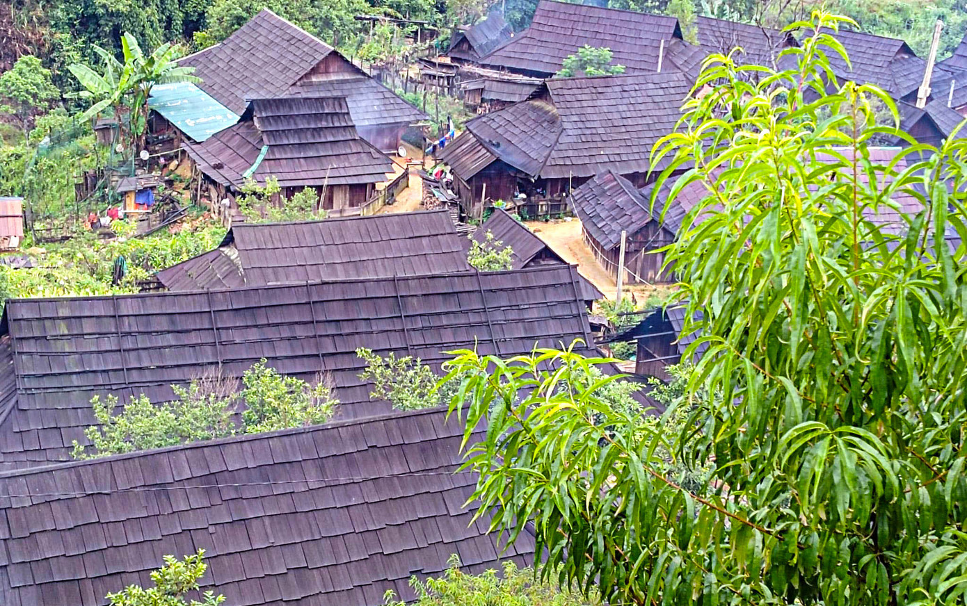 "Các bản làng, điểm trường ở xa trung tâm, cách từ 12-15km. Các giáo viên phải đi mất nhiều giờ đồng hồ, thậm chí mưa gió thì cả buổi mới đến được. Đường thì bùn đất lầy lội rất vất vả. Ngoài đường đi thì việc vận động cũng gặp khó khăn, do điều kiện kinh tế của các gia đình, bố mẹ thường xuyên đi rẫy làm nên việc quan tâm các em đi học chưa được sát sao", thầy Lê Viết Minh nói.