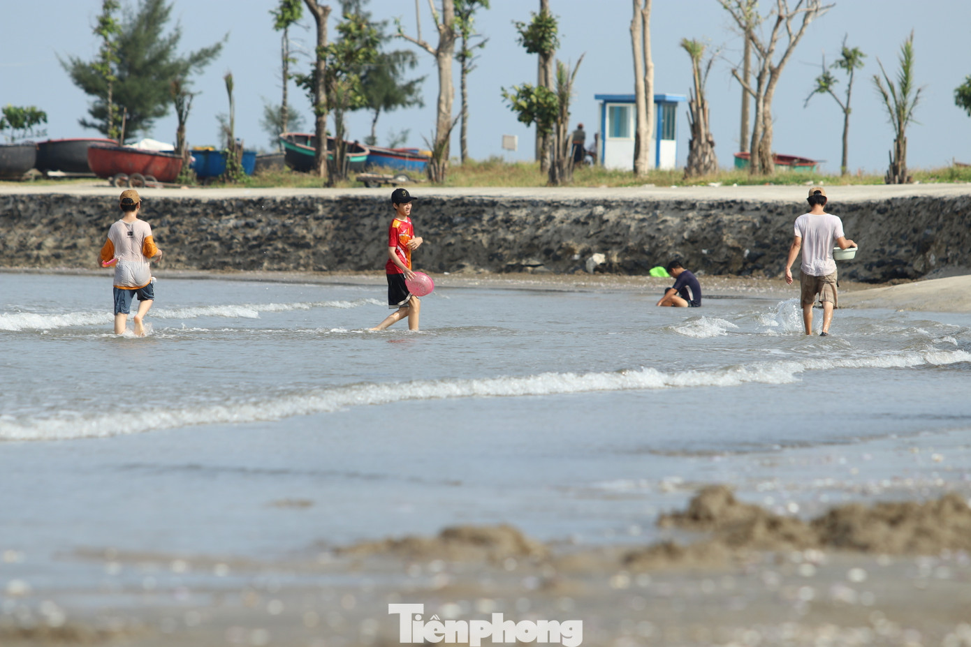 Nhiều em nhỏ cũng theo gia đình mang theo rổ, chậu ra bãi biển nhặt ngao vào chiều 6/9.