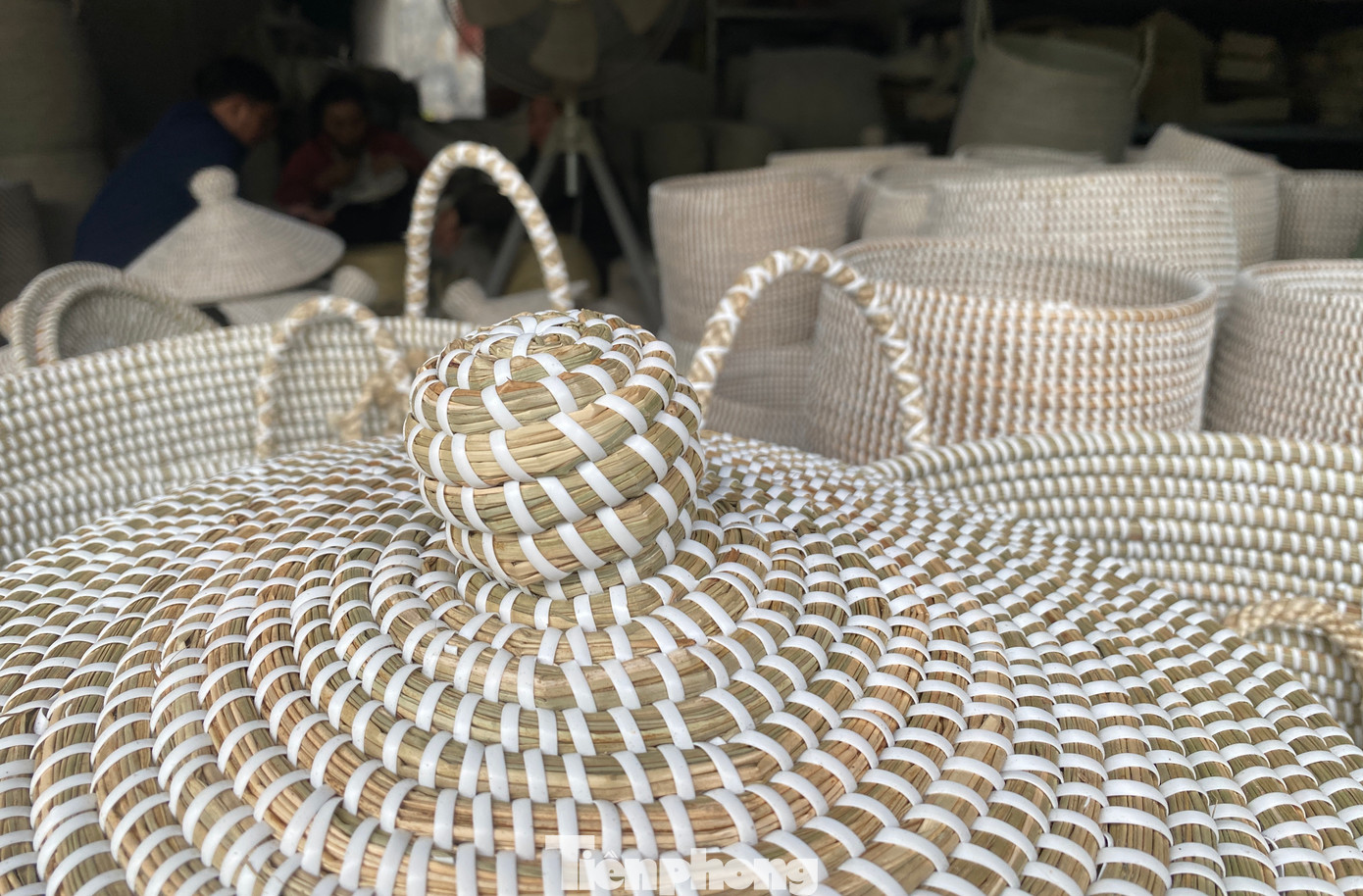 Bà Nguyễn Thị Hoa - Phó chủ tịch Hội LHPN huyện Yên Thành cho biết, sản phẩm từ cói của chị Hân có vẻ đẹp tự nhiên, mộc mạc nên rất thích hợp với xu hướng tiêu dùng hiện nay. Công việc này không chỉ góp phần cải thiện môi trường mà còn giúp hàng trăm chị em ở địa phương có công việc ổn định, đặc biệt là đối với phụ nữ khuyết tật. “Từ những lớp trong huyện, đến nay chị Hân đã dạy nghề miễn phí cho gần 500 phụ nữ khắp cả tỉnh, giúp họ có thêm công việc, kiếm thêm thu nhập lúc nhàn rỗi”, bà Hoa nói.