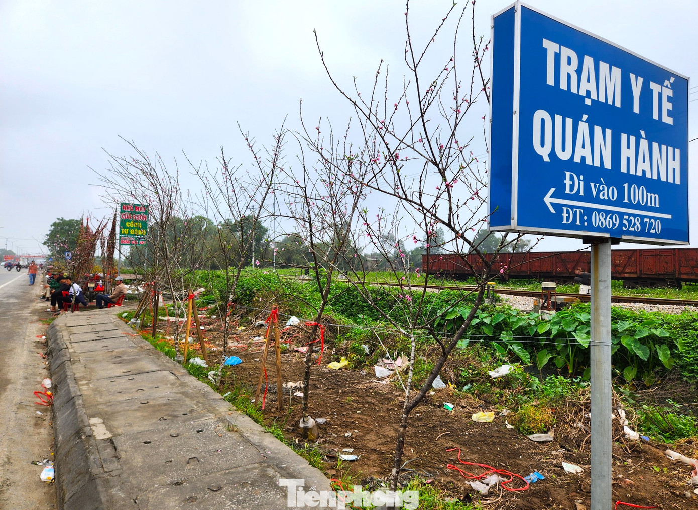 Trên quốc lộ 1A đoạn qua địa bàn thị trấn Quán Hành (huyện Nghi Lộc, Nghệ An) dịp này hai bên đường được các thương lái tận dụng để dựng bán đào đá.