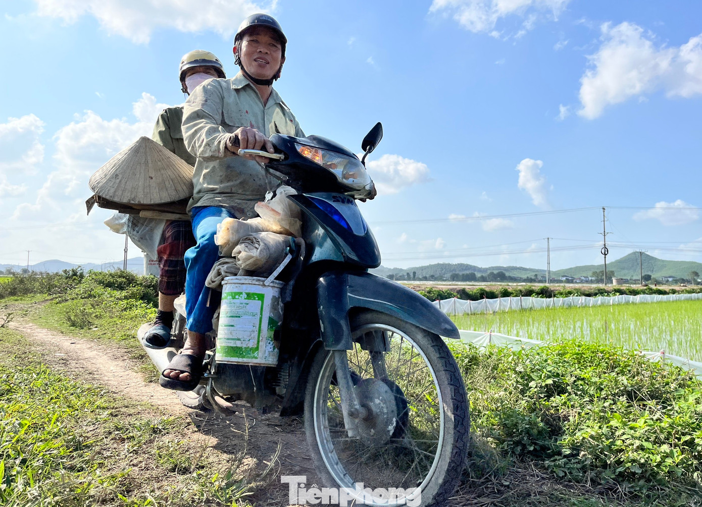 Thông thường những người đi cấy thuê sẽ tập hợp lại thành một nhóm để tiện liên lạc và tổ chức đi cấy thuê. Các nhóm nhận cấy thuê không chỉ nhận ruộng khu vực gần mà còn nhận khu vực xa ở các huyện khác nên đôi khi phải đi xe máy và mang theo cơm, nước để tranh thủ ăn rồi làm cho kịp.