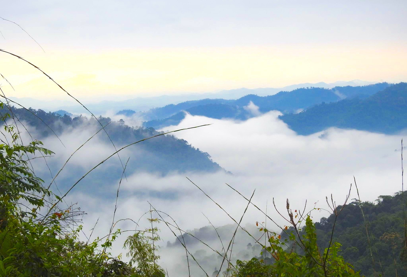 Nơi đây từng được mệnh danh là “chốn tiên cảnh” của Nghệ An. Không chỉ thu hút du khách bởi khung cảnh thiên nhiên tuyệt đẹp, nơi đây còn có những thác nước hùng vĩ, đa dạng sinh học với hàng nghìn loài thực vật và động vật.