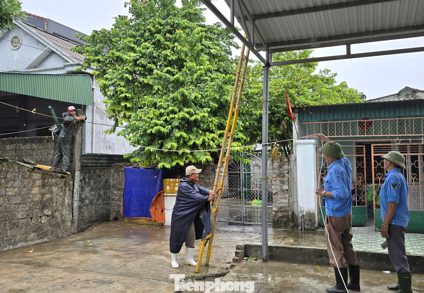 Từ sáng 6/9, Ban Quản lý chợ bến cá Nghi Thủy (phường Nghi Thủy, thị xã Cửa Lò, Nghệ An) đã huy động các cán bộ dùng thang, dây thừng, dây thép đi chằng néo các mái tôn khu vực bến cá trước khi cơn bão đổ bộ vào đất liền. Từ sáng 6/9, Ban Quản lý chợ bến cá Nghi Thủy (phường Nghi Thủy, thị xã Cửa Lò, Nghệ An) đã huy động các cán bộ dùng thang, dây thừng, dây thép đi chằng néo các mái tôn khu vực bến cá trước khi cơn bão đổ bộ vào đất liền.