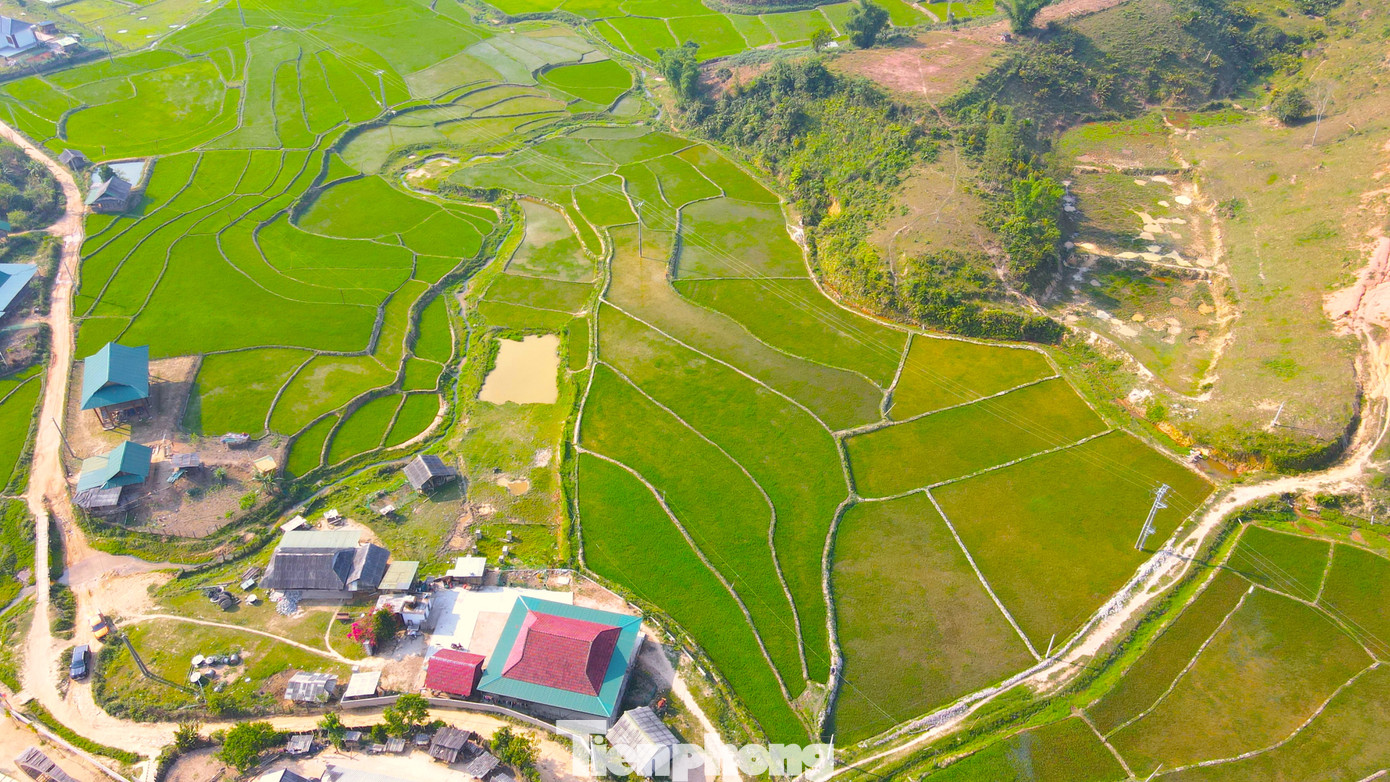 Nhìn từ trên cao, những thửa ruộng bậc thang ở huyện Quế Phong nằm xen lẫn núi đồi xanh bát ngát.