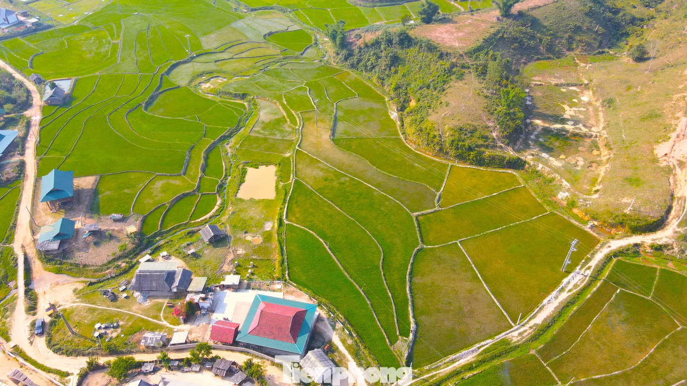 Nhìn từ trên cao, những thửa ruộng bậc thang ở huyện Quế Phong nằm xen lẫn núi đồi xanh bát ngát.