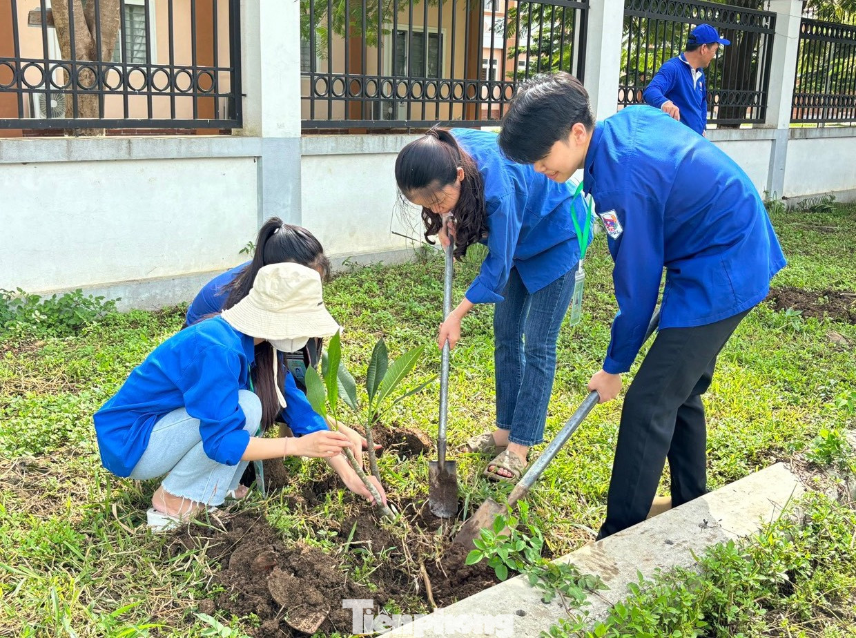 Các đoàn viên còn trồng những cây hoa Champa để lưu lại những kỷ niệm trong chuyến tình nguyện đặc biệt tại nước Lào. Các đoàn viên còn trồng những cây hoa Champa để lưu lại những kỷ niệm trong chuyến tình nguyện đặc biệt tại nước Lào.