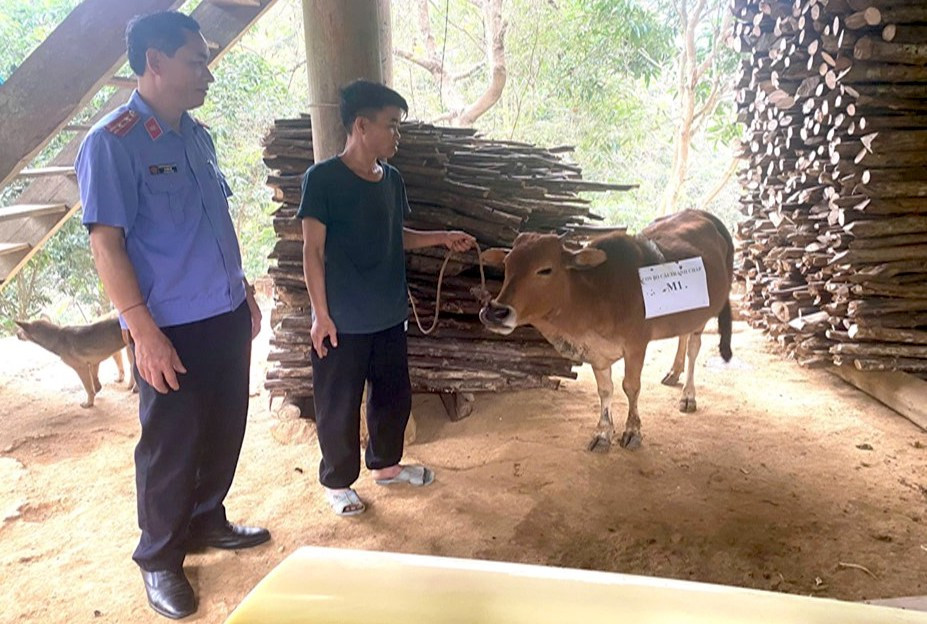 Con bò cái trị giá khoảng 5 triệu đồng được 2 gia đình khẳng định là bò của gia đình mình. Con bò cái trị giá khoảng 5 triệu đồng được 2 gia đình khẳng định là bò của gia đình mình.