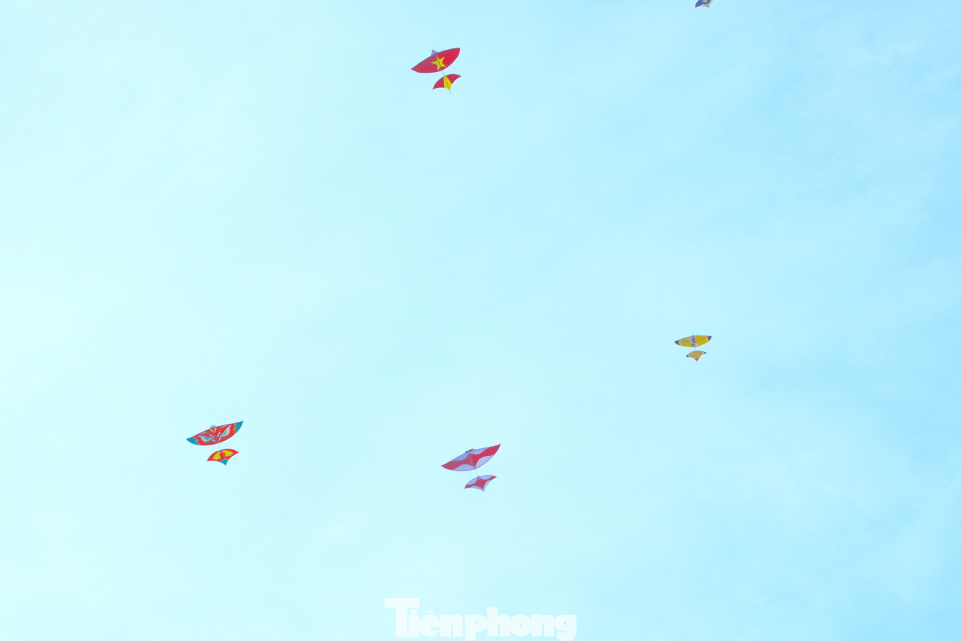 Trên bầu trời, có hàng chục con diều sáo được thả cùng lúc tạo nên khung cảnh đẹp. Tiếng sáo diều vi vu vang vọng hòa vào tiếng sóng biển càng tạo nên không gian thư giãn, thích thú cho du khách.