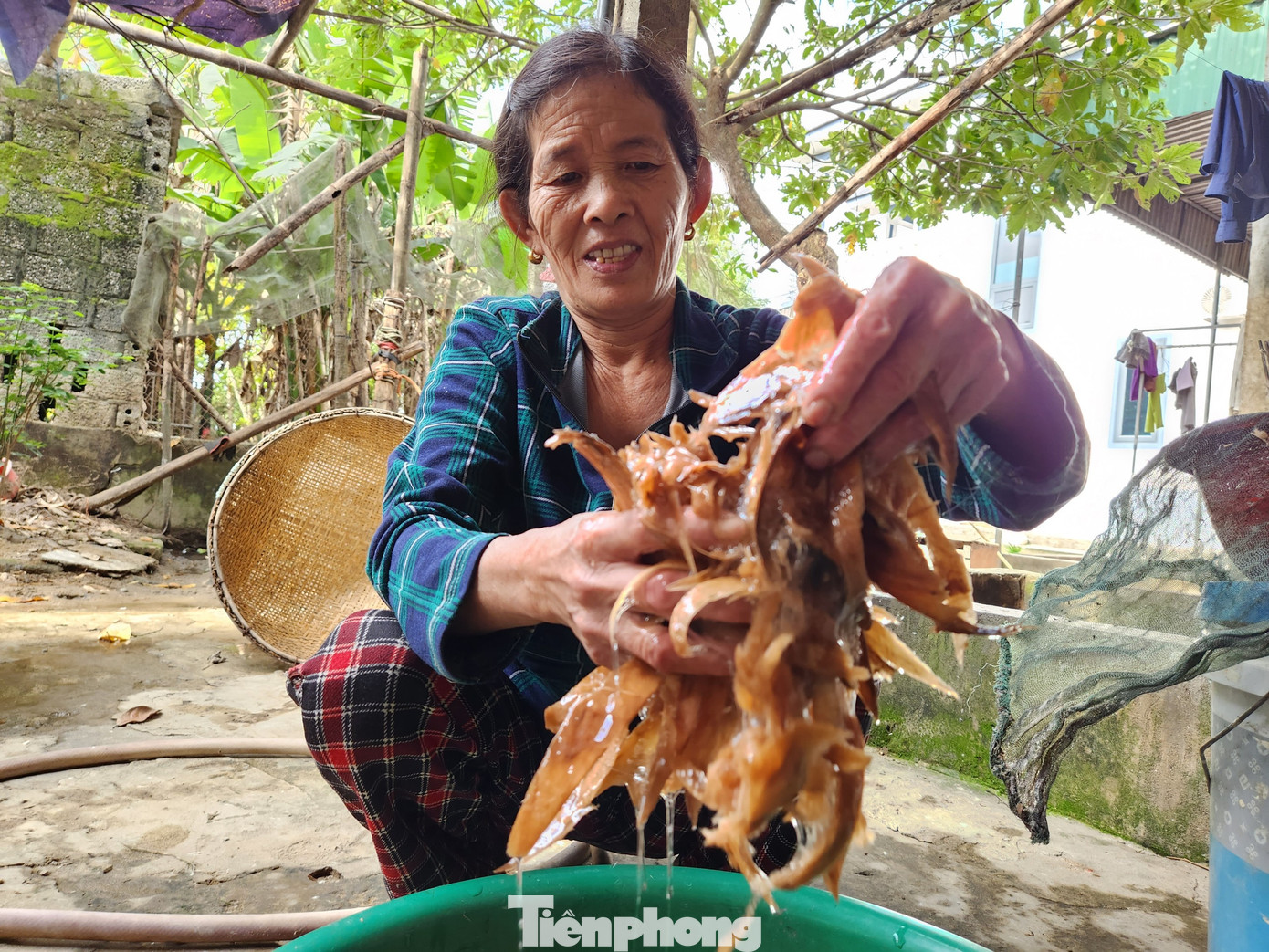 Thứ "phụ gia" trộn để làm giấy không thể thiếu là chất nhờn từ cây Bét Bét. Sau khi chặt cây Bét Bét về, bà Hải chặt nhỏ ngâm với nước để cho ra thứ chất nhờn.