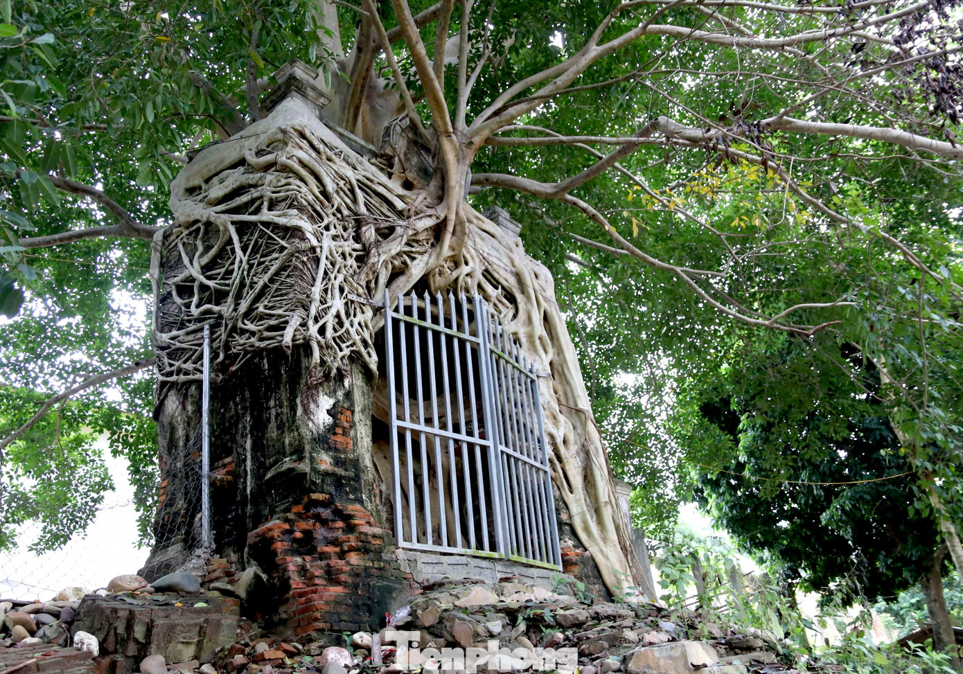 Cánh cổng phủ được xây bằng gạch nung với thiết kế khá độc đáo, kỳ công. Toàn bộ cánh cổng được một cây đa cổ thụ bao bọc. Nhờ vậy, dù thời gian, mưa gió nhưng cánh cổng vẫn đứng vững giữa đất trời.