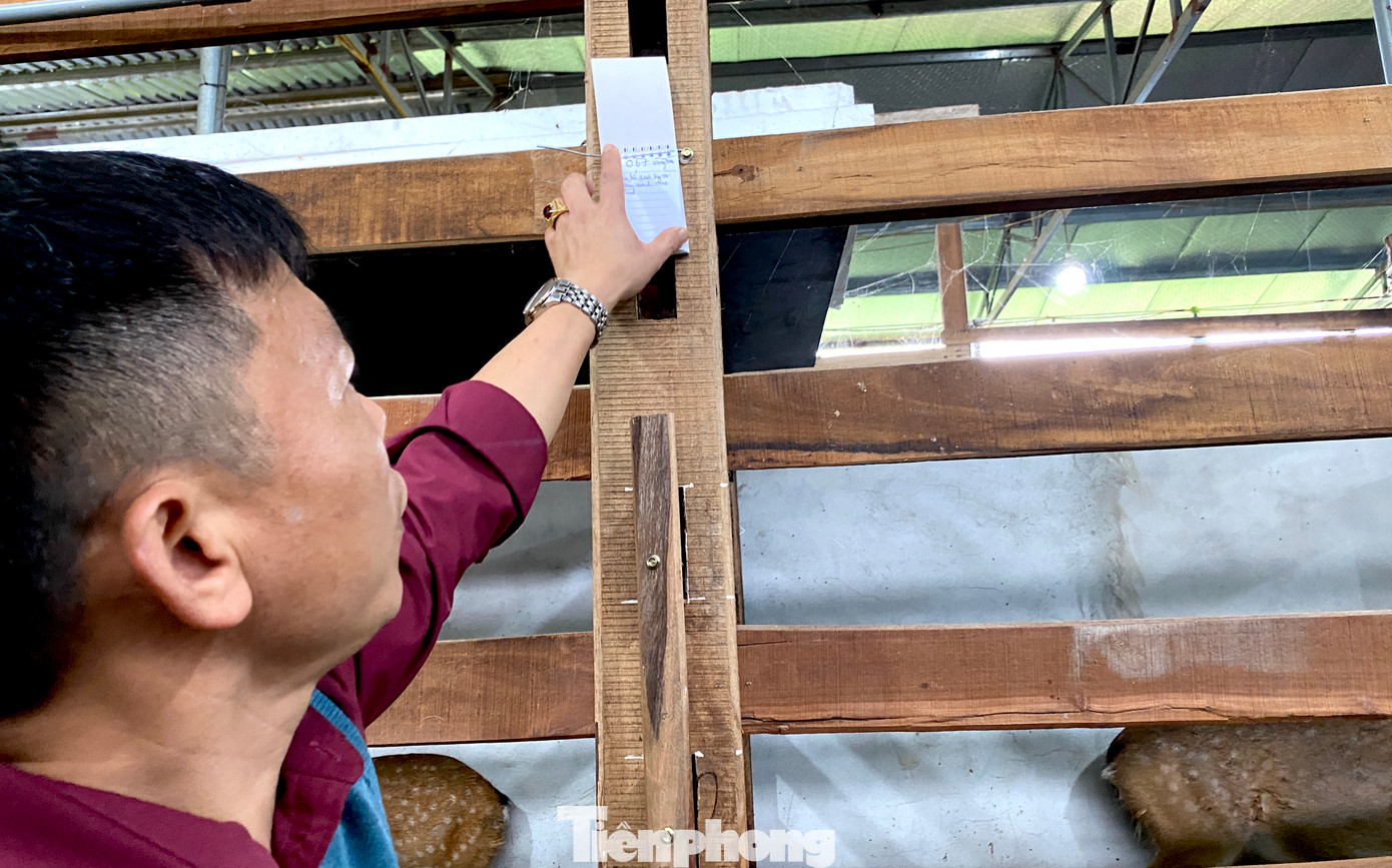 Trên mỗi chuồng, anh Thắng đều ghi chép đầy đủ thông tin của con hươu, nai đang nuôi từ nguồn gốc, ngày bắt đầu nuôi đến ngày cắt nhung. Theo anh Thắng, việc ghi chép sẽ giúp anh chăm sóc tốt hơn đàn hươu của mình.