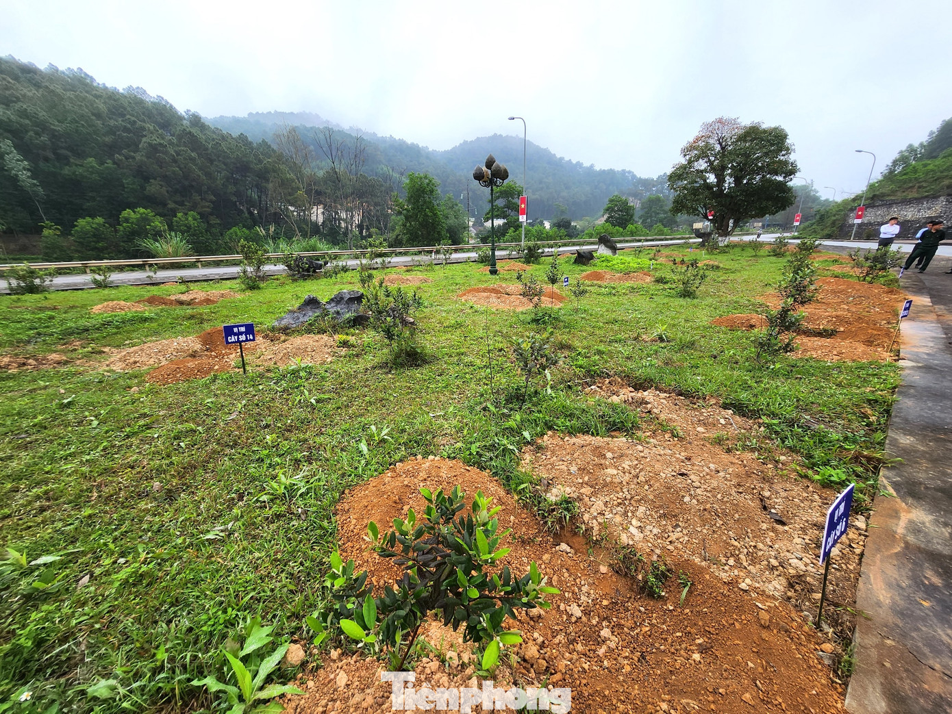 Khu vực trồng cây xanh trong chương trình "Tết trồng cây đời đời nhớ ơn Bác Hồ" đã được chuẩn bị chu đáo.