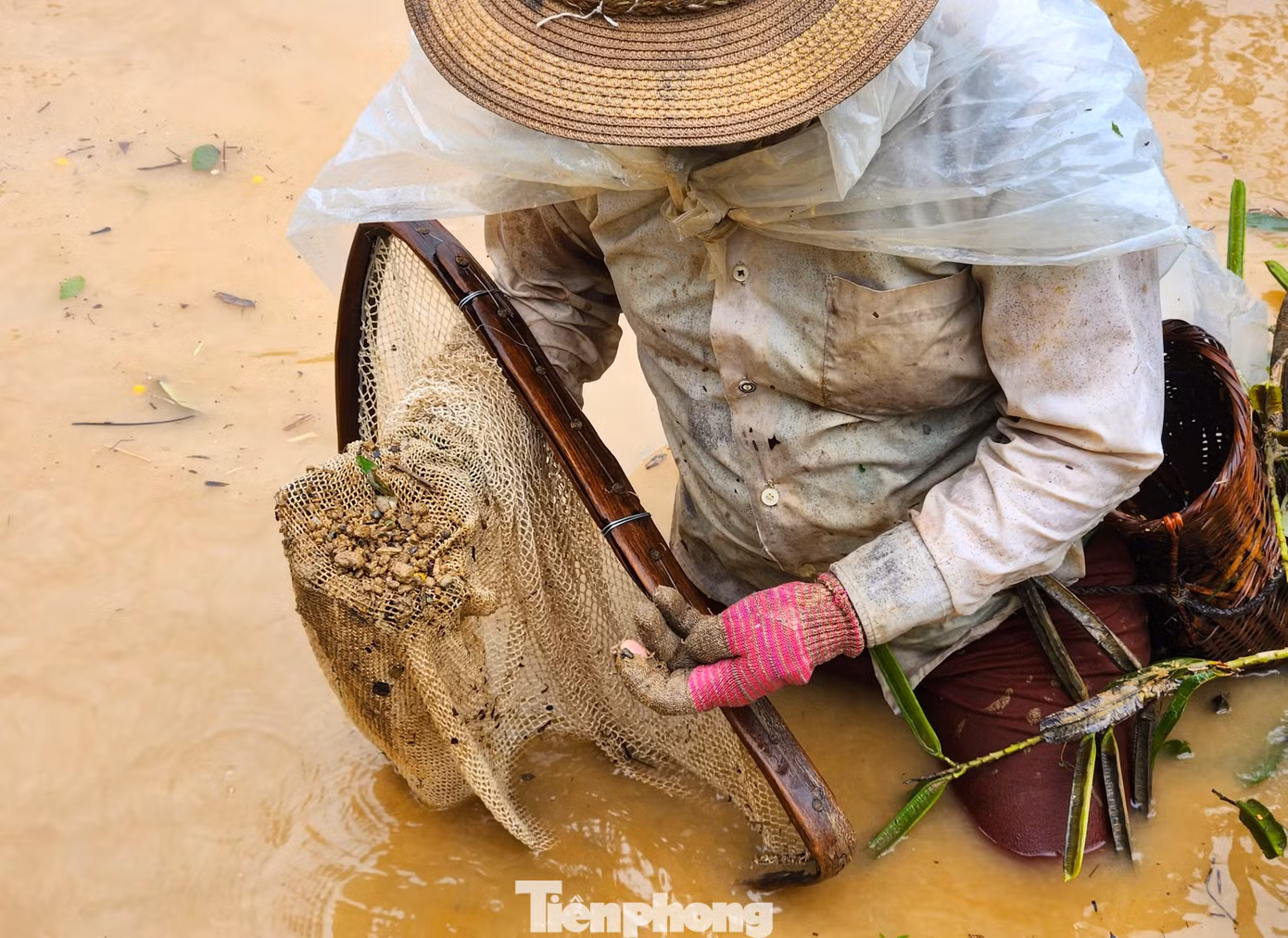 Vài lần xúc, người dân lại đưa vợt lên kiểm tra. Lẫn trong đống đất đá là những con cá nhỏ bé.