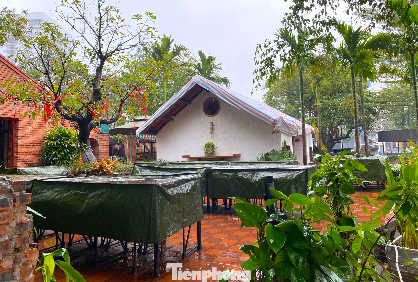 Trước hàng loạt vi phạm của VCCI chi nhánh Nghệ An - Hà Tĩnh - Quảng Bình, ngày 26/11/2024, UBND TP. Vinh đã ban hành Quyết định 5883 yêu cầu đơn vị này phải khắc phục hậu quả bằng việc tháo dỡ các công trình xây dựng sai so với quy hoạch đã được chỉ ra. Thời gian tổ chức thực hiện tháo dỡ trong vòng 30 ngày (tính từ ngày nhận được quyết định).