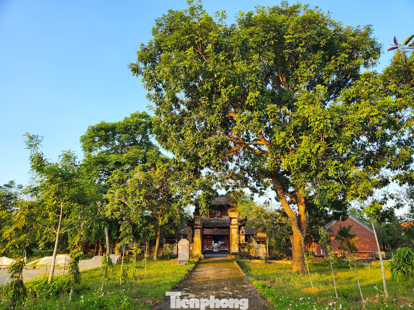 Đền Cả nằm ở xã Hoa Thành (huyện Yên Thành, Nghệ An) được khởi dựng từ đời Lý và được trùng tu, mở rộng vào thời hậu Lê để thờ Uy minh vương Lý Nhật Quang và các vị phúc thần, danh tướng, những người có công “bảo quốc hộ dân”.