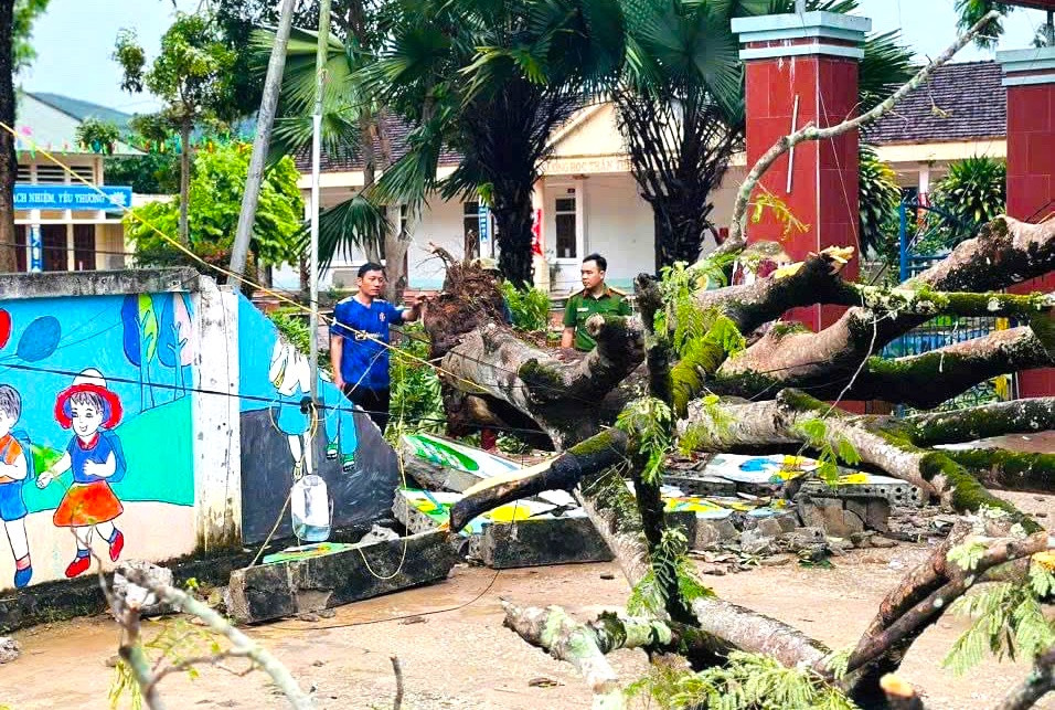 Tại huyện Quỳ Châu (Nghệ An), sau cơn mưa lớn vào tối 6/9, cây phượng cổ thụ trong sân trường Tiểu học Châu Bình (xã Châu Bình) gãy đổ khiến bức tường trước cổng trường học bị đổ sập. Trước tình hình trên, ngày 7/9, đoàn viên thanh niên phối hợp lực lượng công an, chính quyền địa phương và giáo viên trong trường tiến hành cắt cây, khắc phục hậu quả.