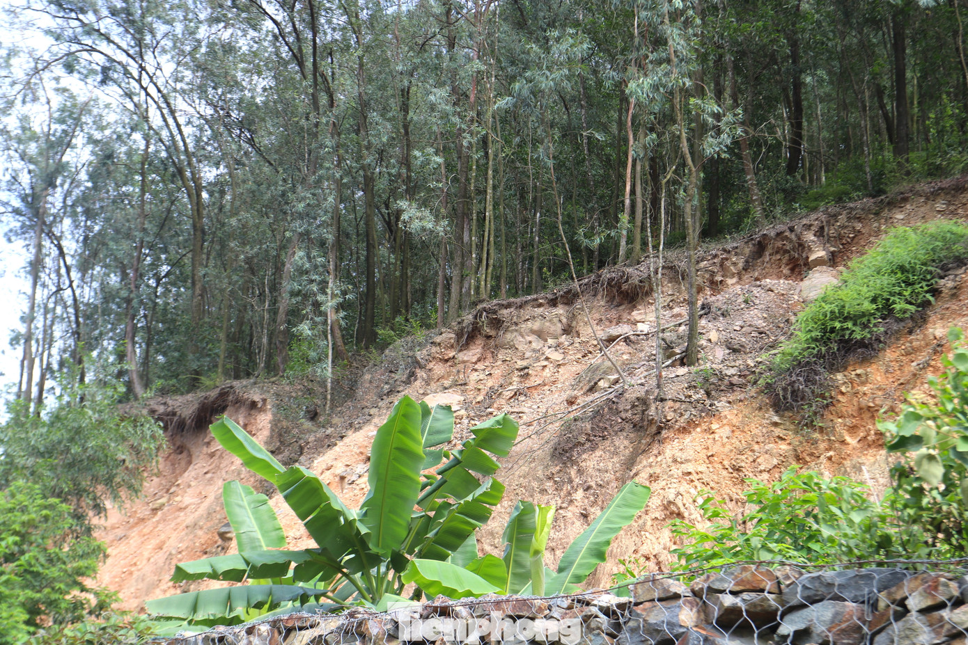 Phía trên núi đất đá có dấu hiệu tiếp tục sạt lở. Nhiều cây cối bị sạt lở đất chỉ còn rễ trơ trọi. Một số cây bị sạt lở xuống lưng chừng. Chỉ chờ cơn mưa lớn, những phần đất đá này sẽ tiếp tục trôi xuống nhà dân phía dưới.
