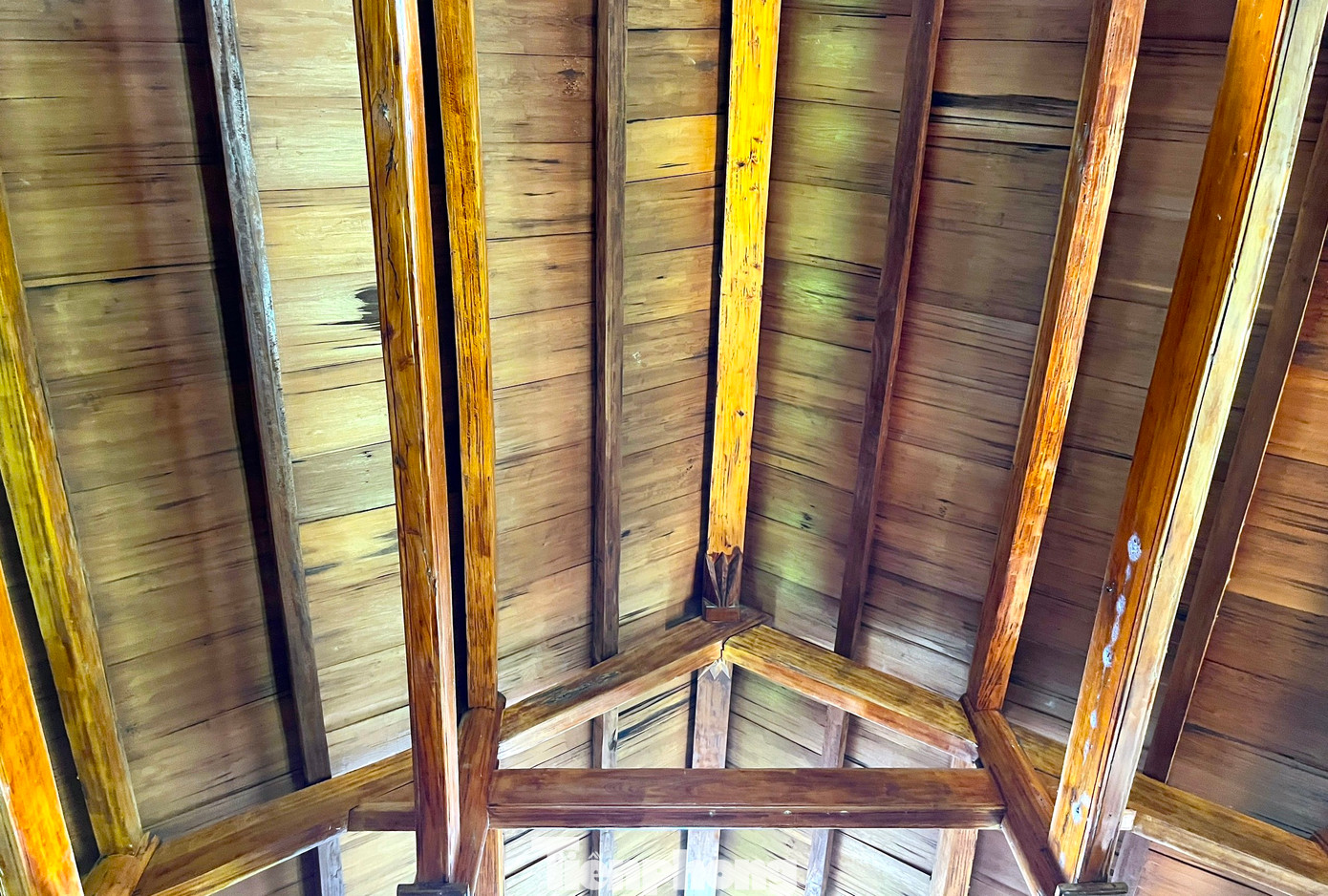 Người dân ở Mường Đán hiện vẫn giữ nguyên những nét đặc trưng văn hóa của người dân tộc Thái cổ. Trong đó, những nếp nhà, phong tục, trang phục vẫn được giữ nguyên.