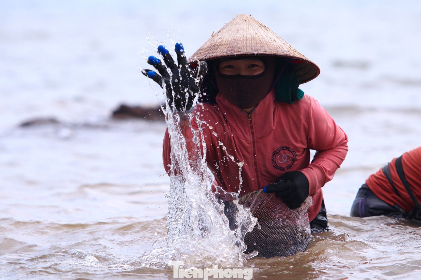 Những bãi đá trơn trượt, sóng lớn luôn khiến những người đi thu hoạch rau rong liêu xiêu. Những bãi đá trơn trượt, sóng lớn luôn khiến những người đi thu hoạch rau rong liêu xiêu.