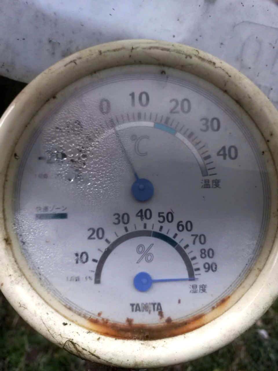 Nhiệt độ có thời điểm xuống dưới 0 độ C.