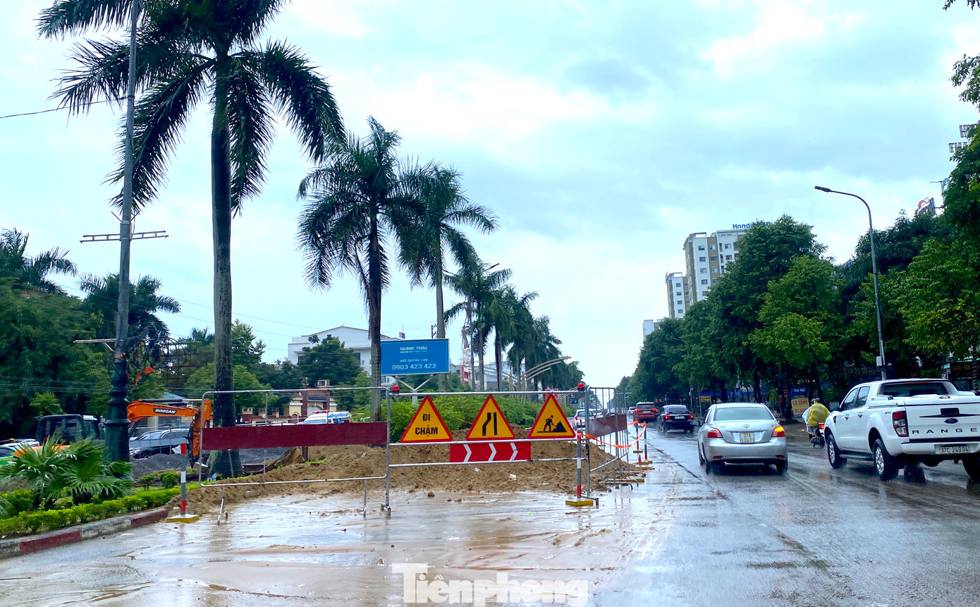 Được trồng từ nhiều năm trước nên cây cau vua cao lớn, có cây chu vi thân cây lên đến 1m. Được trồng từ nhiều năm trước nên cây cau vua cao lớn, có cây chu vi thân cây lên đến 1m.