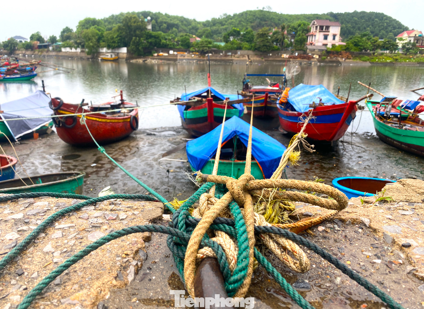 "Đọc thông tin thấy cơn bão này rất mạnh nên dù bão không trực tiếp vào Nghệ An nhưng chúng tôi cũng phải chuẩn bị kỹ càng. Không ra biển đánh bắt, tàu thuyền phải neo đậu cho chắc chắn để mưa, gió bão không xô đẩy hỏng thuyền", ông Trần Văn Bình (trú phường Nghi Thủy, TX. Cửa Lò) chia sẻ. "Đọc thông tin thấy cơn bão này rất mạnh nên dù bão không trực tiếp vào Nghệ An nhưng chúng tôi cũng phải chuẩn bị kỹ càng. Không ra biển đánh bắt, tàu thuyền phải neo đậu cho chắc chắn để mưa, gió bão không xô đẩy hỏng thuyền", ông Trần Văn Bình (trú phường Nghi Thủy, TX. Cửa Lò) chia sẻ.