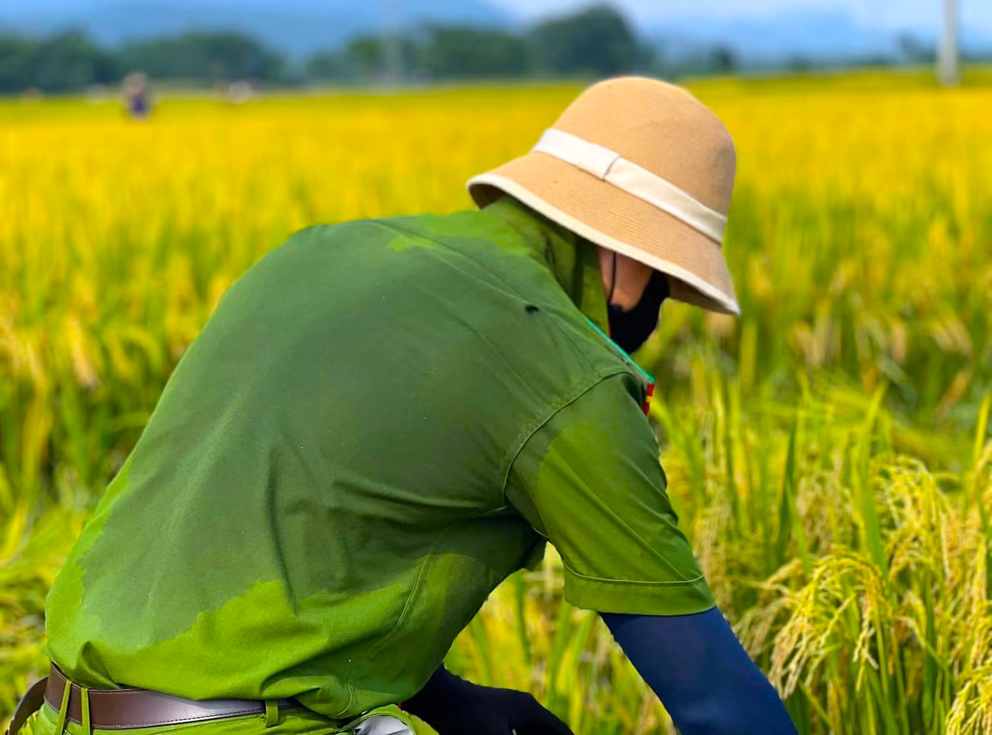 Nắng nóng khiến áo của chiến sĩ công an ướt đẫm mồ hôi.