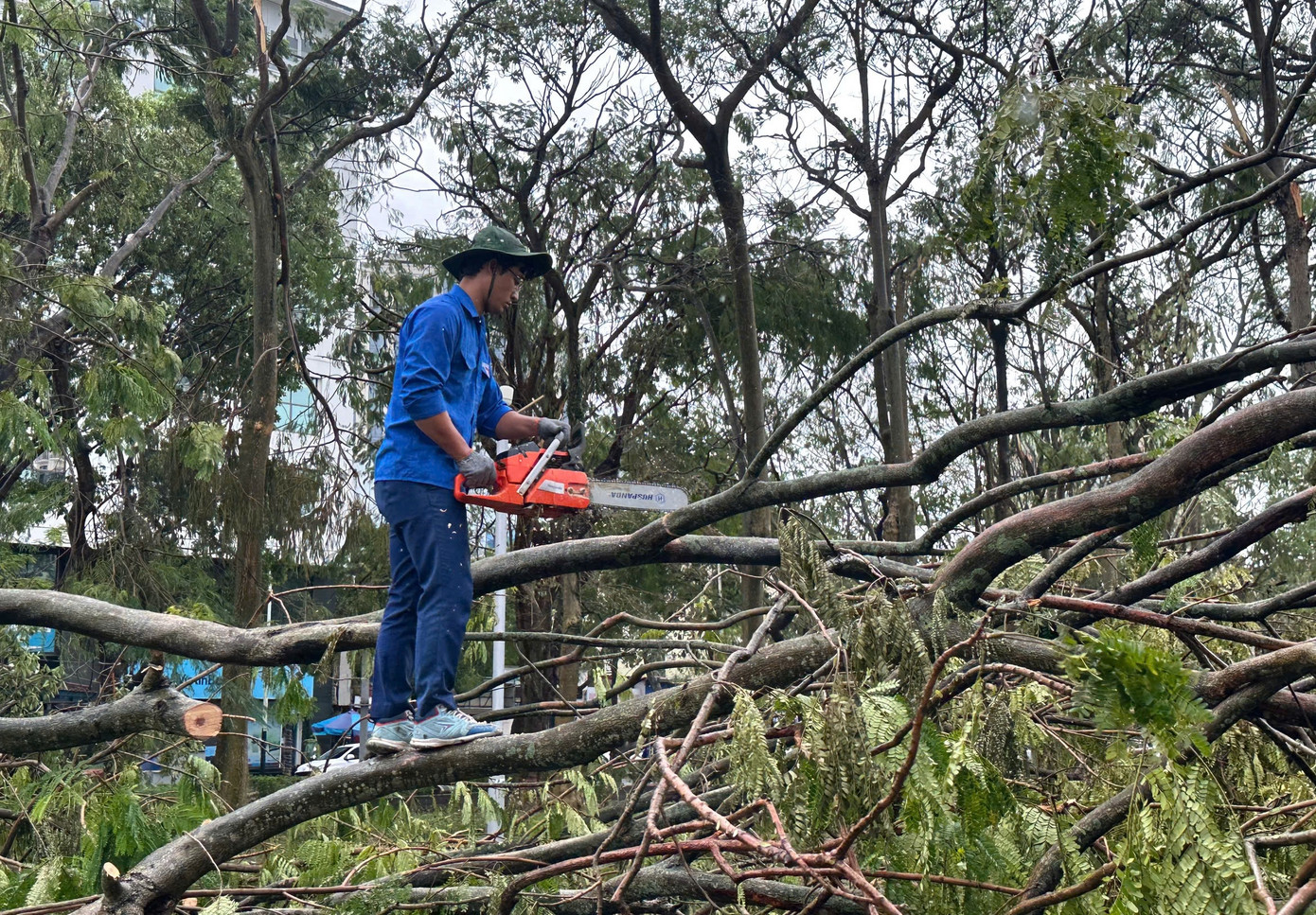 Tại các khu vực công cộng, công viên, đường phố, cơn bão số 3 đi qua đã khiến hàng loạt cây xanh gãy đổ. Các đoàn viên thanh niên tỉnh Nghệ An đã sử dụng cưa xăng cắt nhỏ cành cây để dễ dọn dẹp.