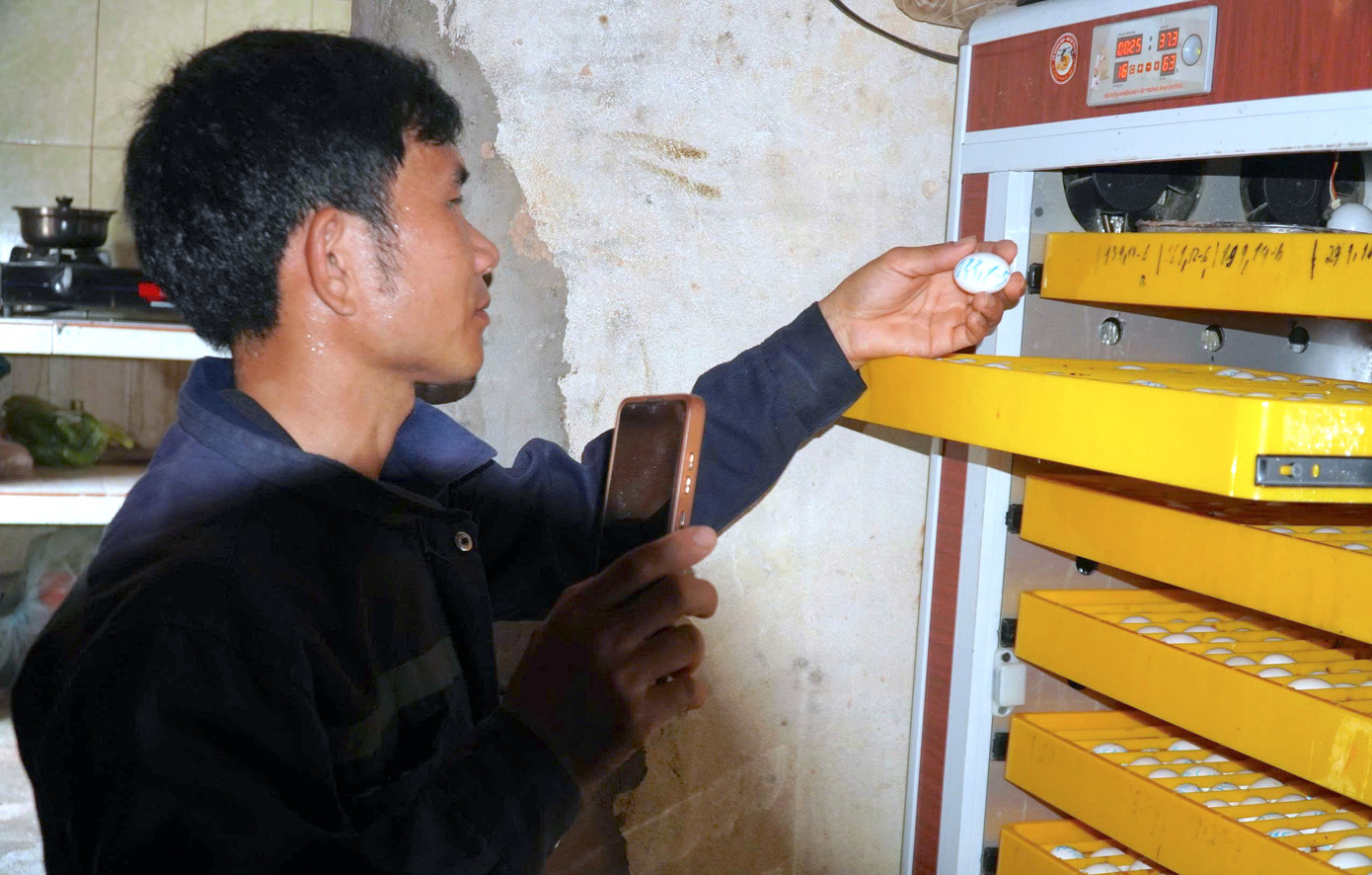 Anh Dương mua tủ ấp và học cách điều chỉnh nhiệt độ để ấp trứng và chủ động giống nuôi. Anh Dương mua tủ ấp và học cách điều chỉnh nhiệt độ để ấp trứng và chủ động giống nuôi.