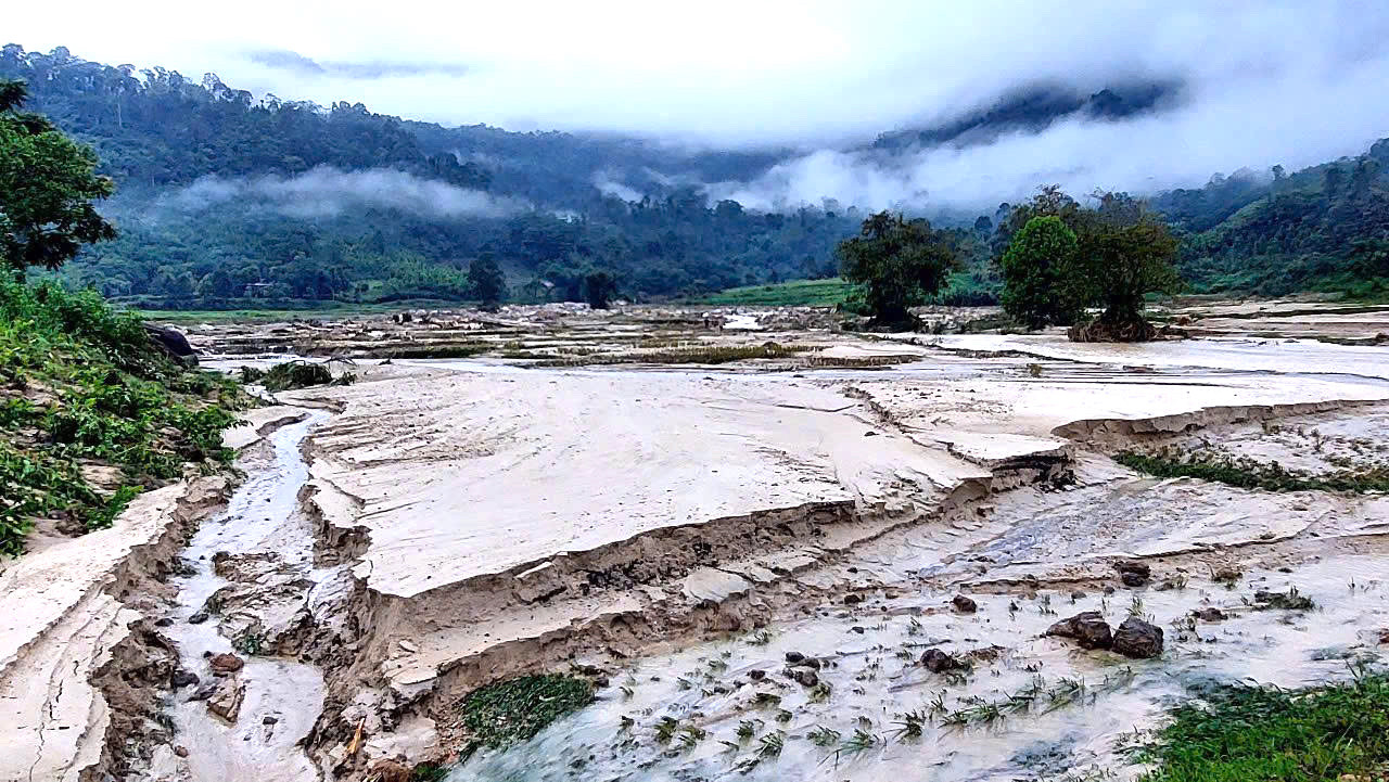 Lượng lớn đất đá, cây cối từ trên thượng nguồn đổ về vùi lấp nhiều diện tích lúa, hoa màu của người dân xã Hạnh Dịch. Lượng lớn đất đá, cây cối từ trên thượng nguồn đổ về vùi lấp nhiều diện tích lúa, hoa màu của người dân xã Hạnh Dịch.