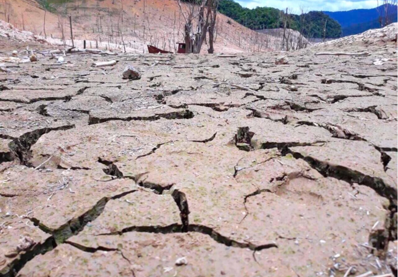 Biến đổi khí hậu gây ra hàng loạt hiện tượng thời tiết cực đoan như hạn hán, xâm nhập mặn, giông lốc, mưa đá, sạt lở.