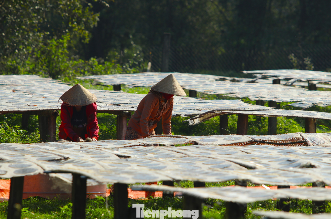 Những người thợ vừa phơi vừa lật bánh liên tục để bánh khô đều các mặt. Những người thợ vừa phơi vừa lật bánh liên tục để bánh khô đều các mặt.