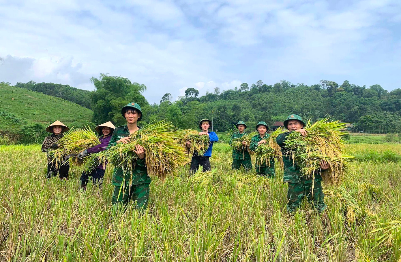 Bất chấp thời tiết nắng nóng oi bức, các đoàn viên thanh niên xã Môn Sơn và Đồn Biên phòng xã Môn Sơn vẫn hăng hái thu hoạch lúa giúp người dân.