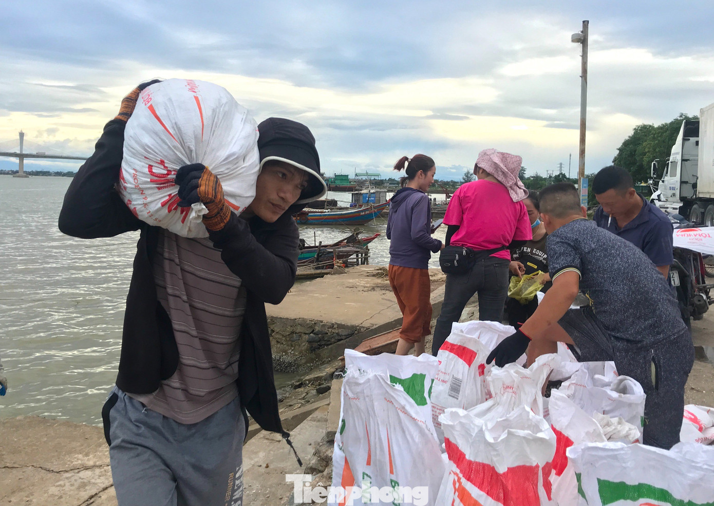 Sau khi đánh bắt được loại hải sản này, ngư dân sẽ đóng thành từng bảo tải, cập bến thuyền rồi vận chuyển lên bờ. Sau khi đánh bắt được loại hải sản này, ngư dân sẽ đóng thành từng bảo tải, cập bến thuyền rồi vận chuyển lên bờ.