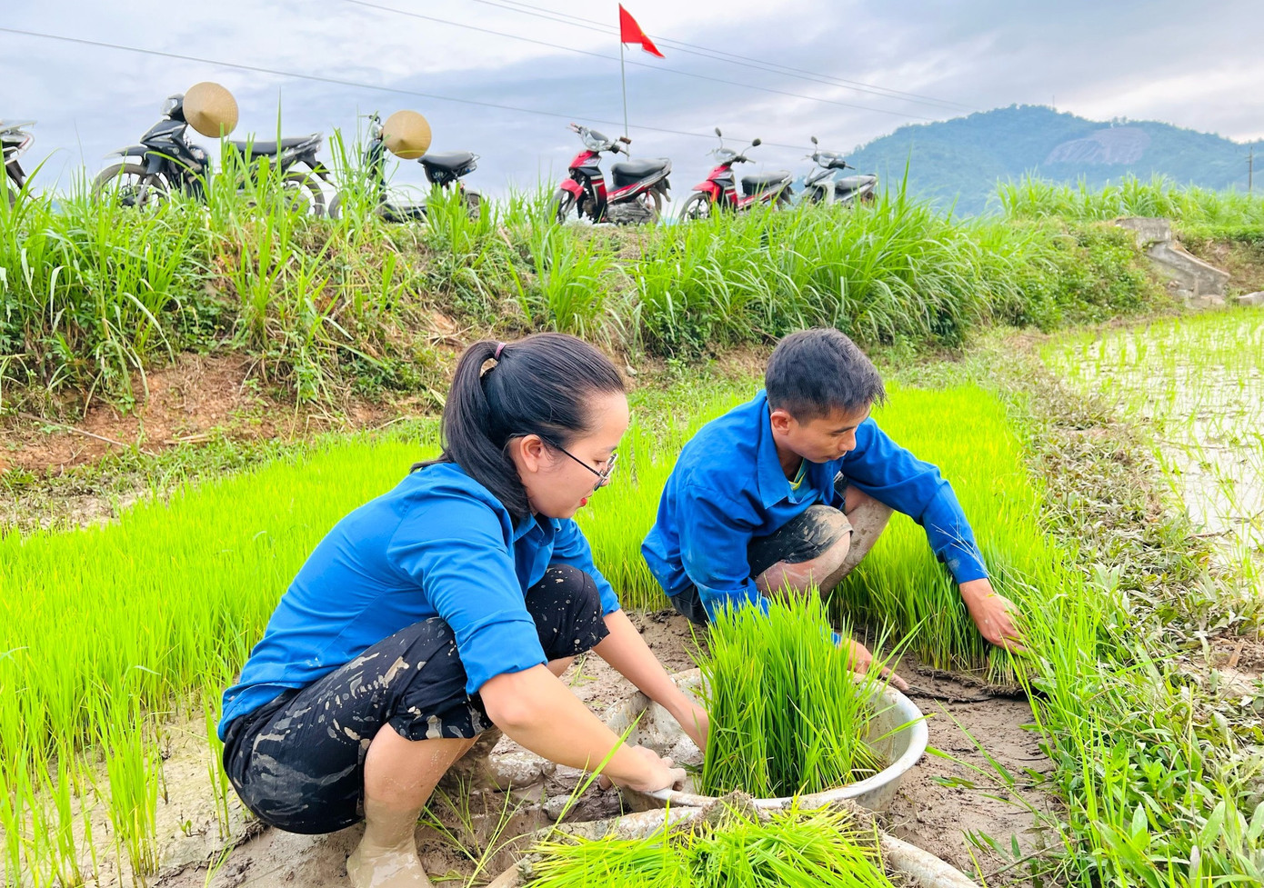 Từ sáng sớm, các đoàn viên thanh niên đã đến ruộng nhổ mạ rồi trực tiếp ra đồng cấy lúa. Từ sáng sớm, các đoàn viên thanh niên đã đến ruộng nhổ mạ rồi trực tiếp ra đồng cấy lúa.