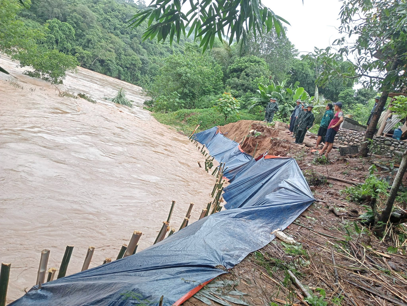 Người dân và cơ quan chức năng dùng bạt, bao tải cát, cọc tre gia cố bờ sông bị sạt lở. Người dân và cơ quan chức năng dùng bạt, bao tải cát, cọc tre gia cố bờ sông bị sạt lở.