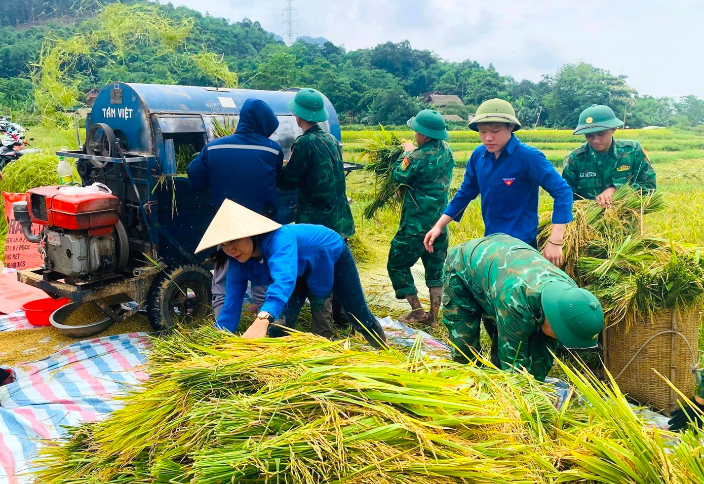 Chỉ trong một buổi sáng, hơn 2 sào lúa của gia đình anh Lương Văn Tý đã được các đoàn viên thanh niên hỗ trợ thu hoạch xong. "Trước mắt có thêm 2 gia đình đang cần sự giúp đỡ thu hoạch lúa. Các đoàn viên sẽ lên kế hoạch huy động người, phối hợp và hỗ trợ các gia đình có hoàn cảnh neo đơn, gia đình chính sách sớm thu hoạch xong mùa vụ", Bí thư Đoàn xã Môn Sơn nói.