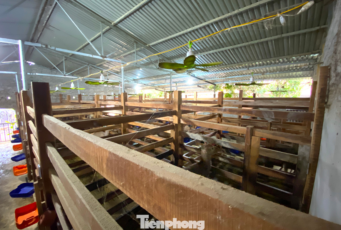 Trang trại được anh Thắng đầu tư hiện đại, bài bản với hệ thống quạt làm mát, máy đo độ ẩm. Chủ trang trại còn lắp thêm camera để giám sát, kịp thời xử lý những trường hợp bất trắc xảy ra với đàn hươu, nai giá trị của mình.