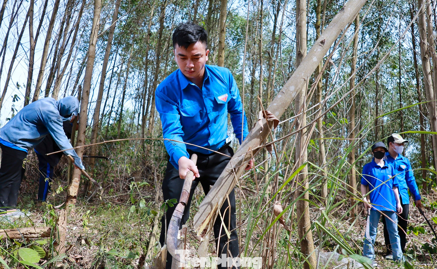 Chặt cây ảnh hưởng trong khu vực hành lang tuyến.