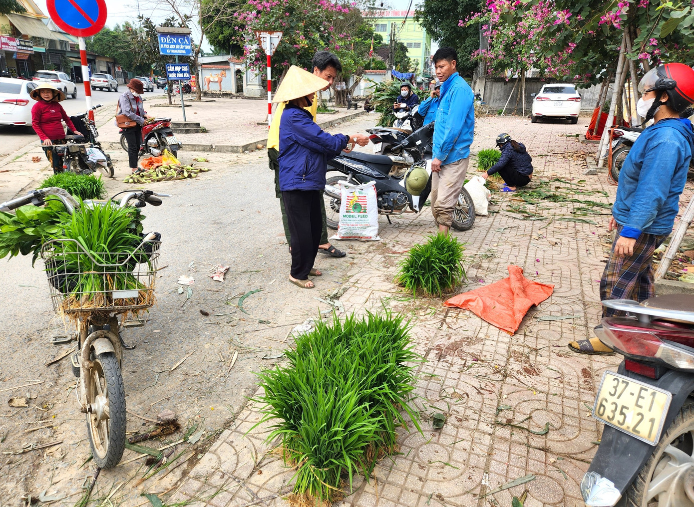 Chợ bán mạ non (lúa non) nằm ở khu vực chợ Cồn (xã Thanh Dương, huyện Thanh Chương, Nghệ An). Nói là chợ nhưng thực tế đây chỉ là khu vực một nhóm người mua bán mạ non tự tổ chức ngay cạnh vỉa hè quốc lộ 46.