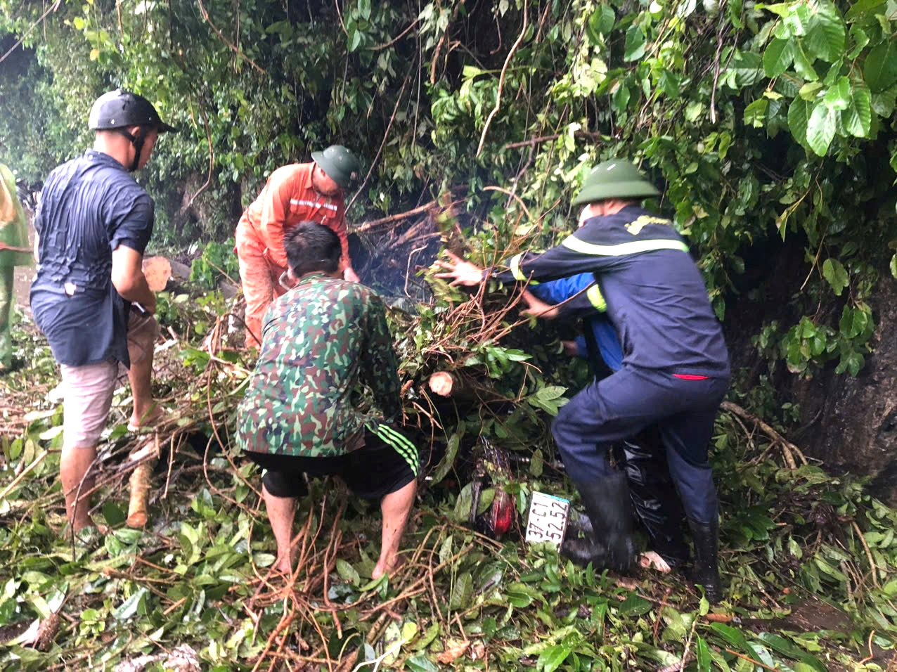 Cây lớn đổ đè trúng 2 cha con đi xe máy. May mắn cả 2 chỉ bị thương nhẹ. Ảnh: Bá Hậu Cây lớn đổ đè trúng 2 cha con đi xe máy. May mắn cả 2 chỉ bị thương nhẹ. Ảnh: Bá Hậu