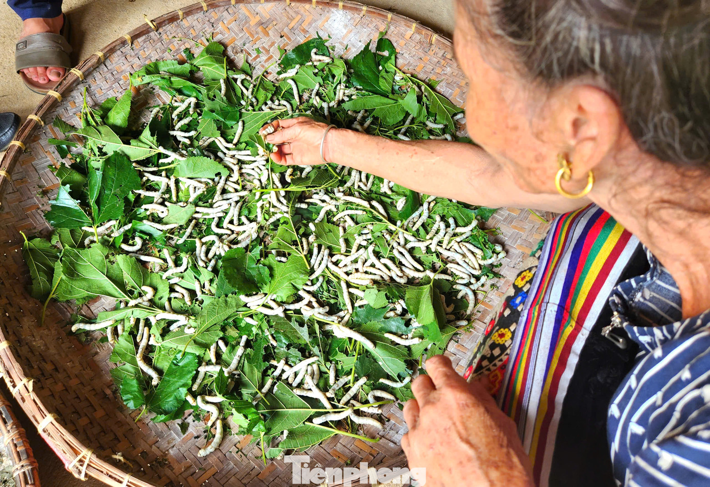 Bà Bích cũng được biết đến là một thợ dệt thổ cẩm có tiếng ở xã Châu Tiến (Quỳ Châu, Nghệ An). Hiện bà Bích tự nuôi tằm, lấy tơ dệt vải.