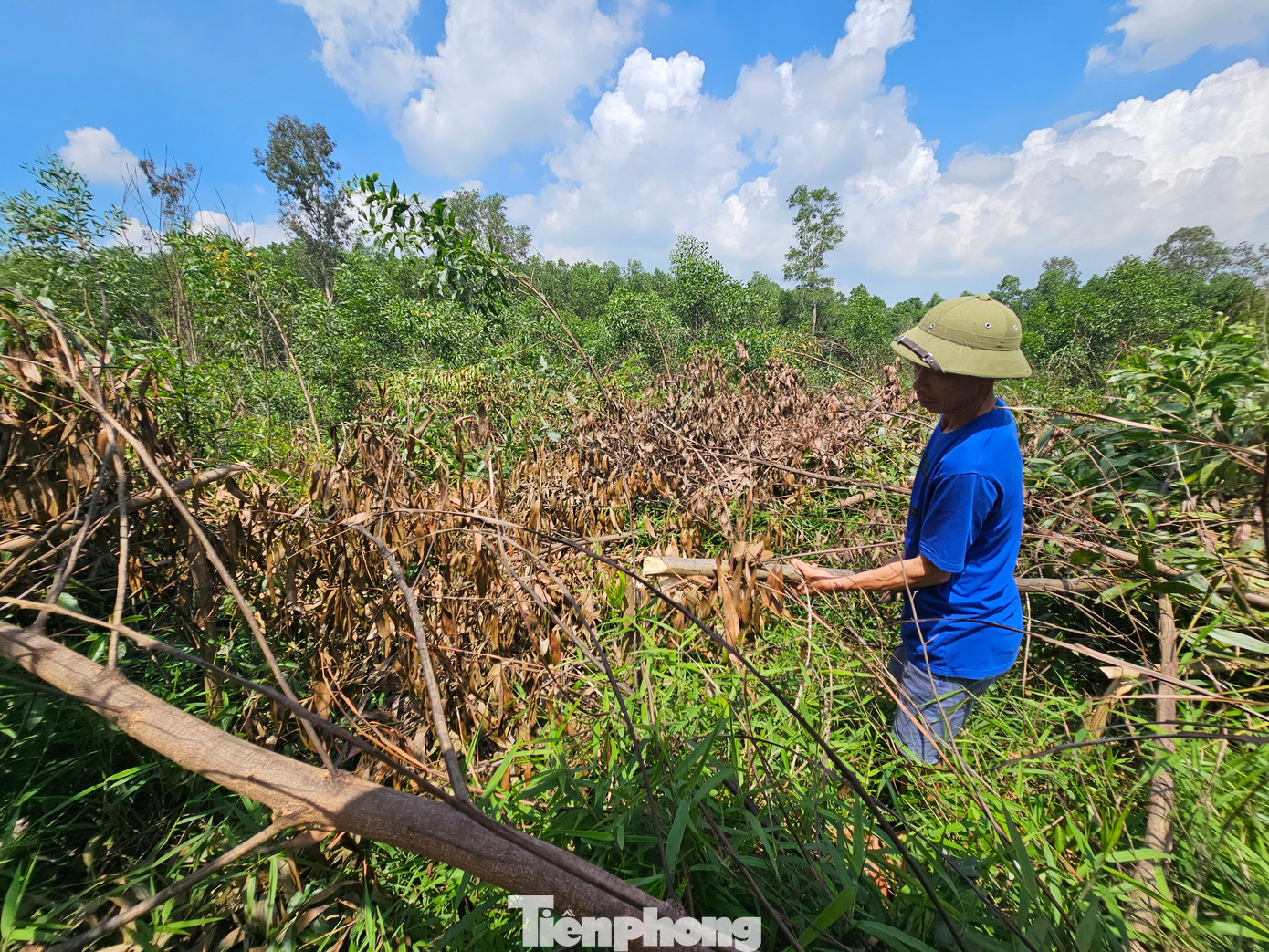 Hiện ông Châu đã trình báo sự việc lên cơ quan công an.