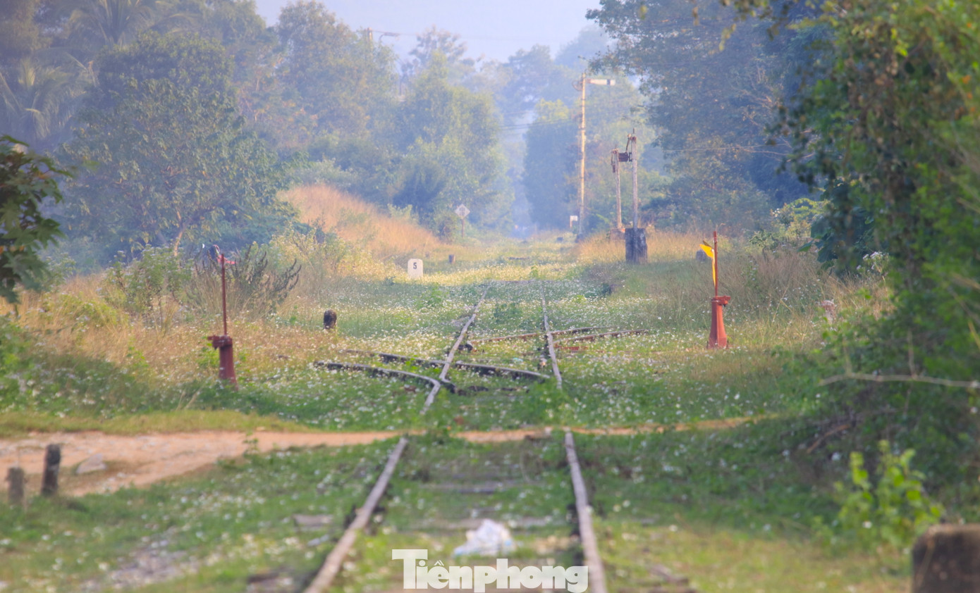 Không chỉ vậy, thời kỳ chiến tranh, tuyến đường này còn đóng vai trò chiến lược trong công tác hậu cần như vận chuyển lương thực, vũ khí và quân đội từ hậu phương ra tiền tuyến.