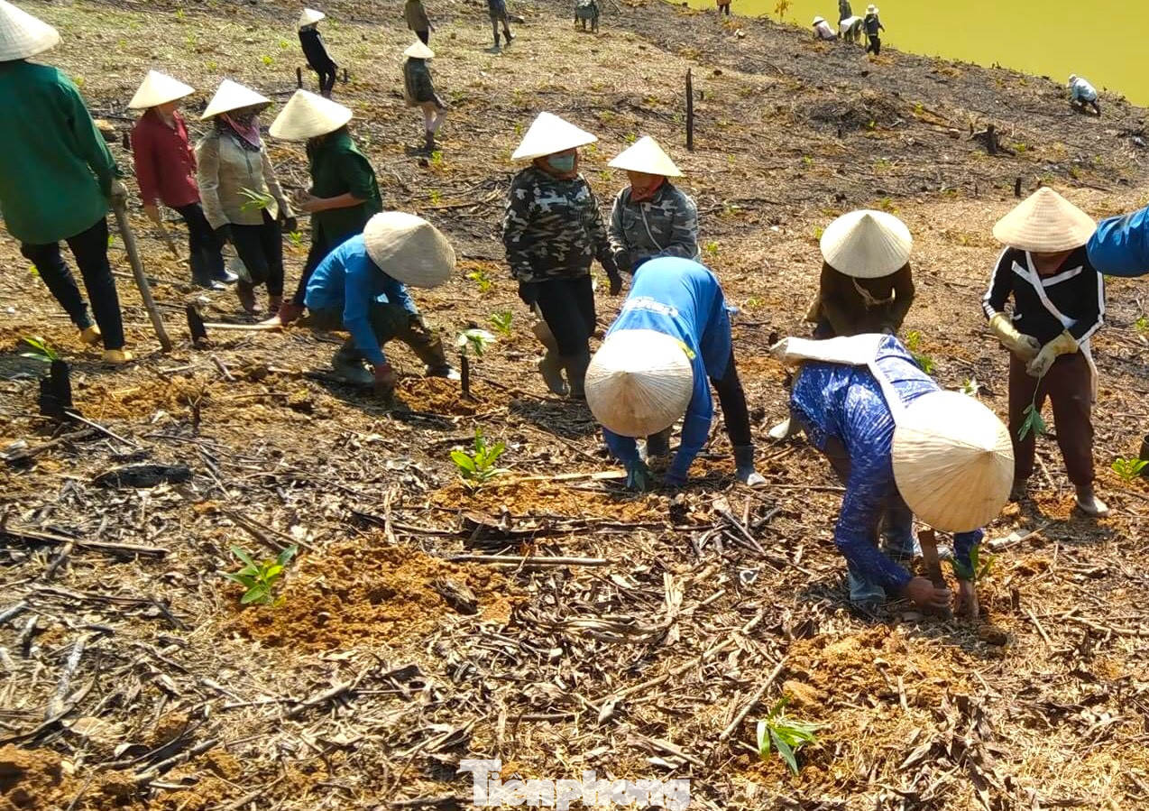 “Gia đình anh Hoan rất éo le. Vừa rồi hai vợ chồng phải bán hết trâu bò và mấy đồi keo để có kinh phí đưa con đi chữa bệnh. Trước hoàn cảnh éo le, các đoàn viên thanh niên và hội phụ nữ đã giúp đỡ trồng lại cánh rừng keo cho gia đình anh Hoan”, chị Lữ Ánh Tuyết nói và cho hay, diện tích rừng lớn nhưng tinh thần đoàn kết của nhân dân, đoàn viên, hội viên cao nên công việc sớm hoàn thiện.