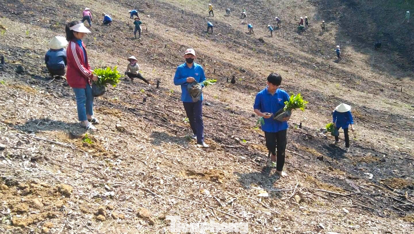 Trời nắng nóng, đường xa, địa bàn cách trở nhưng với tinh thần và sự đoàn kết của tuổi trẻ, các đoàn viên, hội viên hội phụ nữ đã quyết tâm trồng hoàn thành 2 ha rừng keo cho gia đình anh Hoan.