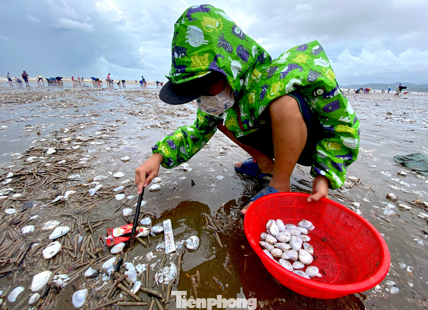 Các em nhỏ theo gia đình ra bờ biển nhặt ngao, sò về.
