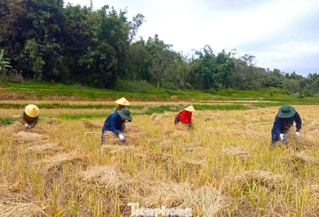 Việc giúp đỡ người dân bản địa thu hoạch mùa màng, sửa chữa nhà cửa, công trình công cộng nhằm góp phần thắt chặt thêm tình cảm quân dân, tạo mối quan hệ thân thiết để hỗ trợ nhau trong công việc. Việc giúp đỡ người dân bản địa thu hoạch mùa màng, sửa chữa nhà cửa, công trình công cộng nhằm góp phần thắt chặt thêm tình cảm quân dân, tạo mối quan hệ thân thiết để hỗ trợ nhau trong công việc.
